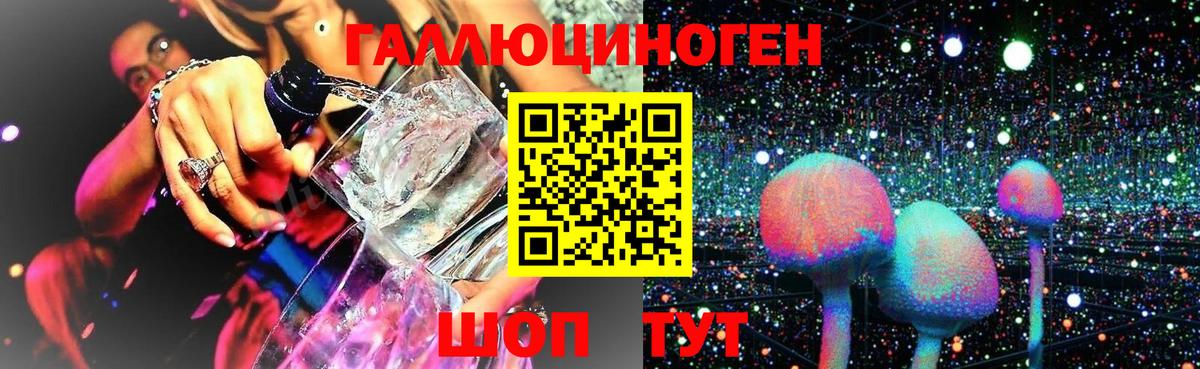 Псилоцибиновые грибы GOLDEN TEACHER  Вход с VPN  Псилоцибиновые грибы Psilocybe  Узловая 