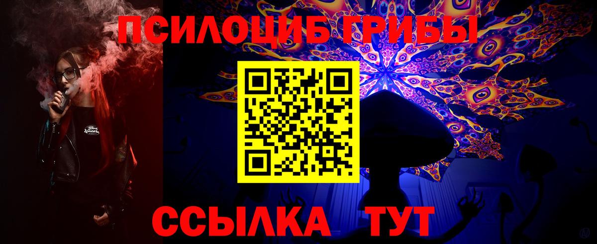 Псилоцибиновые грибы Psilocybe Узловая
